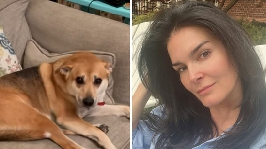 Former Law & Order star Angie Harmon has said that an Instacart driver shot her dog dead (angieharmon/Instagram)