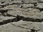 Zimbabwe declared a state of disaster Wednesday over a devastating drought that's sweeping across much of southern Africa,