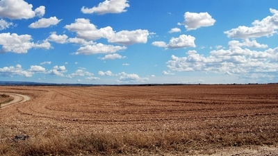 Prestige Group has acquired 21 acres of land in Whitefield, Bengaluru, for ₹450 crore. (Picture for representational purposes only) (Pexel) Prestige Group has acquired 21 acres of land in Whitefield, Bengaluru, for ₹450 crore. (Picture for representational purposes only) (Pexel)
