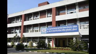 The digital literacy programme is very beneficial for the students to overcome any stress developed by over usage of social media. (HT photo)