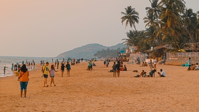 Explore Wildlife: Visit the Bhagwan Mahavir Wildlife Sanctuary or the Cotigao Wildlife Sanctuary to witness Goa's diverse flora and fauna in their natural habitat.&nbsp; (Unsplash)