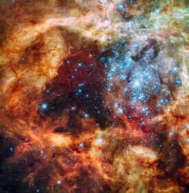 This picture of the Tarantula Nebula will leave you in awe. (Instagram/@nasa) This picture of the Tarantula Nebula will leave you in awe. (Instagram/@nasa)