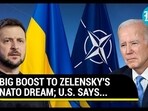 BIG BOOST TO ZELENSKY'S NATO DREAM; U.S. SAYS... BIG BOOST TO ZELENSKY'S NATO DREAM; U.S. SAYS...