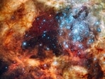 nasa8