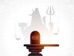 Worshipping Lord Shiva, Mata Parvati and Shani Dev can bless the devotees with success, prosperity, happiness and all the other desired things.(Freepik)