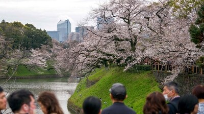 People gathered at the Imperial Palace to snap photos or simply take in the view. (AFP) People gathered at the Imperial Palace to snap photos or simply take in the view. (AFP)