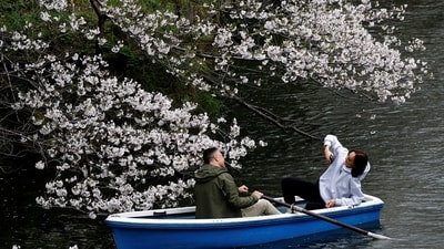 Tourists ride a boat next to cherry blossoms at Chidorigafuchi Park in Tokyo, Japan. (REUTERS)