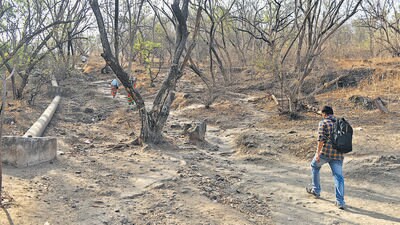 The proposed road passes through Vetal Tekdi connecting Senapati Bapat Road to Kothrud area. (Mahendra Kolhe/HT PHOTO) The proposed road passes through Vetal Tekdi connecting Senapati Bapat Road to Kothrud area. (Mahendra Kolhe/HT PHOTO)