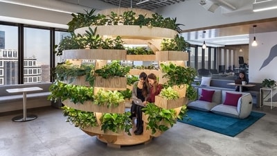 Corporate interior decor tips: Here's how to design workplaces for employee well-being (Photo by The BG) Corporate interior decor tips: Here's how to design workplaces for employee well-being (Photo by The BG)
