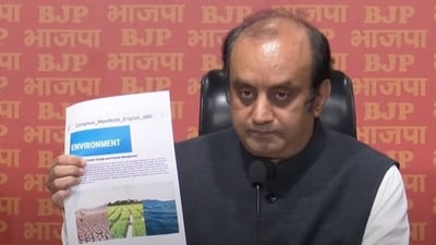The BJP criticised the Congress manifesto and said it did nothing when it was in power.