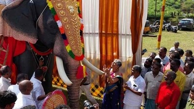 Shankara Hariharan, the robotic elephant gifted by Sangita Iyer, a Canadian citizen of Indian descent and staunch advocate for Asian elephants, to the new temple in Nilgiris, Tamil Nadu. (K A Shaji) Shankara Hariharan, the robotic elephant gifted by Sangita Iyer, a Canadian citizen of Indian descent and staunch advocate for Asian elephants, to the new temple in Nilgiris, Tamil Nadu. (K A Shaji)