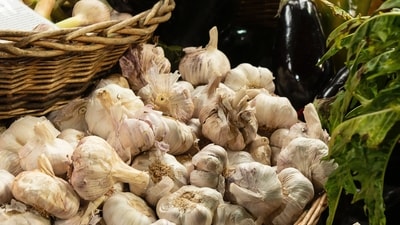 The price of garlic has reduced by more than half. Representational Image The price of garlic has reduced by more than half. Representational Image