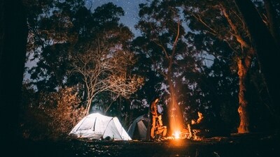Disconnect to reconnect: Allure of silent travel and its health benefits (Photo by Jonathan Forage on Unsplash) Disconnect to reconnect: Allure of silent travel and its health benefits (Photo by Jonathan Forage on Unsplash)