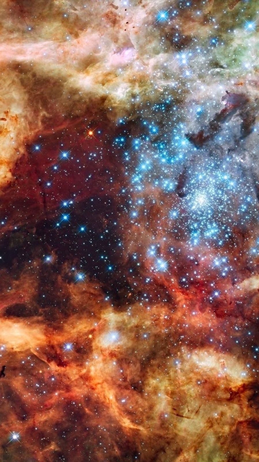 nasa8
