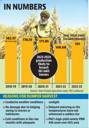 As many as 1,307 mandis and procurement centres were opened on April 1 for procurement of wheat in the state. As many as 1,307 mandis and procurement centres were opened on April 1 for procurement of wheat in the state.