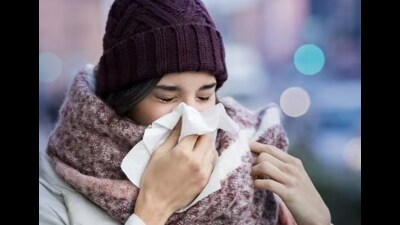 Whether healthy or ill, immunity must be given focus, both to improve overall performance and to recover fast when ill. (HT File) Whether healthy or ill, immunity must be given focus, both to improve overall performance and to recover fast when ill. (HT File)