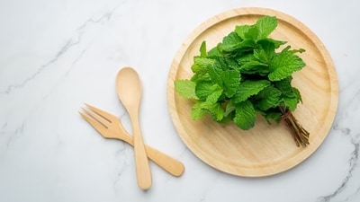 While staying hydrated and seeking shade are crucial, incorporating certain herbs into your diet can provide additional relief from the sweltering heat, (Freepik) While staying hydrated and seeking shade are crucial, incorporating certain herbs into your diet can provide additional relief from the sweltering heat, (Freepik)