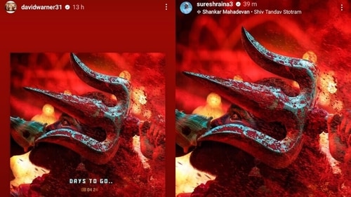 A screen grab of David Warner and Suresh Raina's Instagram stories
