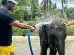 Ram Charan, Upasana and Klin Kaara in Ko Samui Ram Charan, Upasana and Klin Kaara in Ko Samui