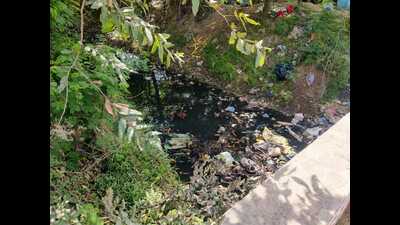 PAC members Kapil Arora and Kuldeep Singh Khaira emphasised the lack of enforcement of the NGT order by the Punjab State Pollution Board (PSPB). (HT Photo)