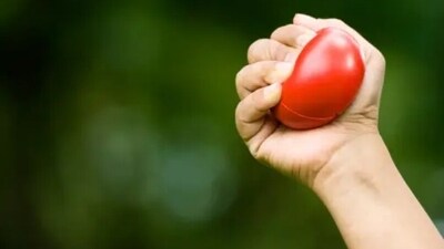 Tactile stimulation can help us to understand the texture of a surface and feel better. Squeezing a stress ball can help in releasing tension. (Unsplash) Tactile stimulation can help us to understand the texture of a surface and feel better. Squeezing a stress ball can help in releasing tension. (Unsplash)