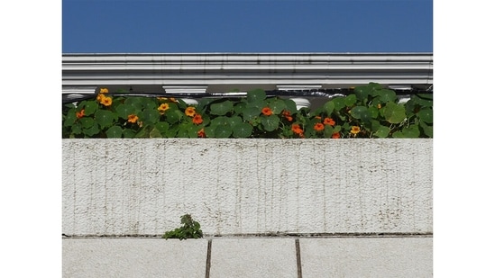 A ring of colonnaded Georgian-style buildings around Connaught Place offer horizontal splits, gentle curves and the joining of nature and built materials, offering a colorful and complex urban equilibrium.(Nikola Olić )