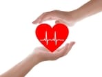 Gut bacteria and heart health: Research shows that a balanced gut flora can positively impact cholesterol levels, blood pressure, and inflammation, all key factors in maintaining a healthy heart Gut bacteria and heart health: Research shows that a balanced gut flora can positively impact cholesterol levels, blood pressure, and inflammation, all key factors in maintaining a healthy heart