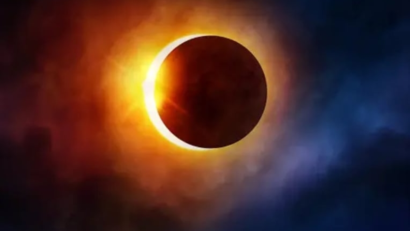 5 startling animal behaviour during past eclipses: 'Birds fell from sky, giraffes galloped' | Trending - Vimarsana News