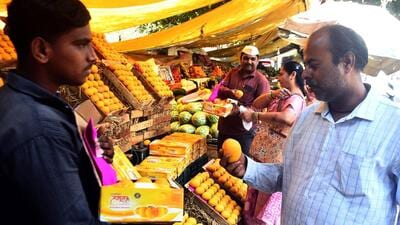 On the eve of Gudi Padwa, people flocked to Gultekdi Market Yard to buy mangoes on Monday. (HT PHOTO) On the eve of Gudi Padwa, people flocked to Gultekdi Market Yard to buy mangoes on Monday. (HT PHOTO)