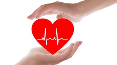 Gut bacteria and heart health: Research shows that a balanced gut flora can positively impact cholesterol levels, blood pressure, and inflammation, all key factors in maintaining a healthy heart (Image by InspiredImages from Pixabay ) Gut bacteria and heart health: Research shows that a balanced gut flora can positively impact cholesterol levels, blood pressure, and inflammation, all key factors in maintaining a healthy heart (Image by InspiredImages from Pixabay )