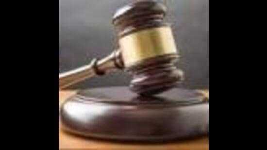 Chandigarh retail store penalised for levying charge on carry bag. (HT)