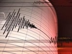There were no immediate reports of damage or injuries after the earthquake. (File) There were no immediate reports of damage or injuries after the earthquake. (File)