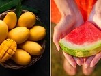 Best fruits for summer: Having fruits is the best way to add required fibre to your body, satiate your sweet tooth, and feel refreshed as they are high in antioxidants, vitamins and minerals. Best fruits for summer: Having fruits is the best way to add required fibre to your body, satiate your sweet tooth, and feel refreshed as they are high in antioxidants, vitamins and minerals.