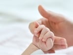 Pregnancy Pregnancy