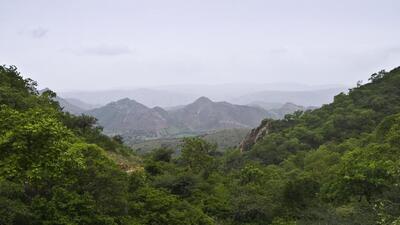 Monsoon is the lifeblood of India’s economy. (Shutterstock) Monsoon is the lifeblood of India’s economy. (Shutterstock)