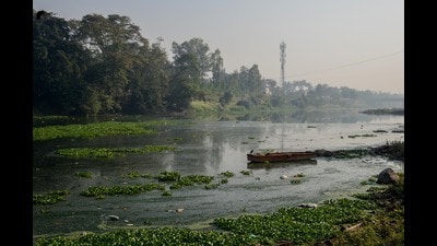 PMC carried out a small-scale trial of use of bioenzymes like Draynzyme to clean hyacinth at Ramnadi in February 2024. (HT PHOTO) PMC carried out a small-scale trial of use of bioenzymes like Draynzyme to clean hyacinth at Ramnadi in February 2024. (HT PHOTO)
