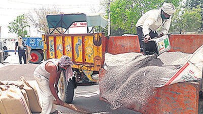 So far, two state-backed cooperatives — the National Agricultural Cooperative Marketing Federation and National Cooperative Consumers Federation — have bought 80,000 tonne of mustard in these states (HT) So far, two state-backed cooperatives — the National Agricultural Cooperative Marketing Federation and National Cooperative Consumers Federation — have bought 80,000 tonne of mustard in these states (HT)
