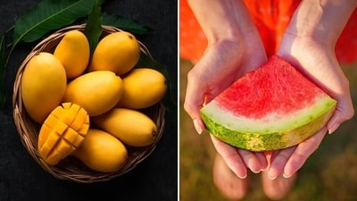 Best fruits for summer: Having fruits is the best way to add required fibre to your body, satiate your sweet tooth, and feel refreshed as they are high in antioxidants, vitamins and minerals. Best fruits for summer: Having fruits is the best way to add required fibre to your body, satiate your sweet tooth, and feel refreshed as they are high in antioxidants, vitamins and minerals.