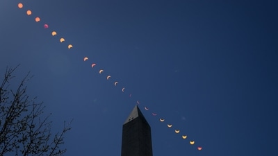Total Solar Eclipse 2024: Eclipse mania sweeps North America as millions gaze skyward in wonder. (NASA)