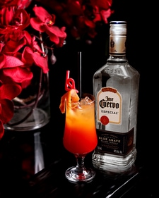 Tequila-based cocktail Tequila-based cocktail
