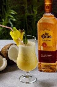 Tequila-based cocktail Tequila-based cocktail