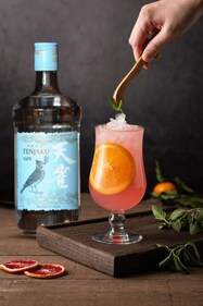 Gin-based cocktail Gin-based cocktail