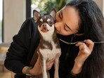 National Pet Day 2024: When discussing the well-being of pets, it's essential to consider various aspects that contribute to their overall well-being. National Pet Day 2024: When discussing the well-being of pets, it's essential to consider various aspects that contribute to their overall well-being.