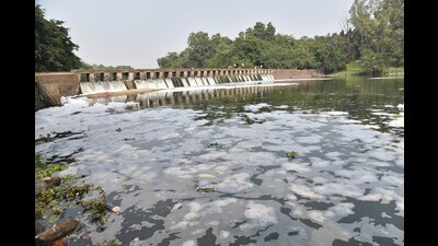 As per findings, the board mentioned that the BOD parameter exceeded 30 mg/l at Pimpri Station on December 5, 2023, and at Kasarwadi Station on January 8, 2024. (HT PHOTO) As per findings, the board mentioned that the BOD parameter exceeded 30 mg/l at Pimpri Station on December 5, 2023, and at Kasarwadi Station on January 8, 2024. (HT PHOTO)