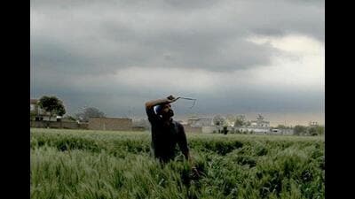 The metrological department at the Punjab Agricultural University (PAU), Ludhiana, has issued a rain and thunderstorm warning for Baisakhi.