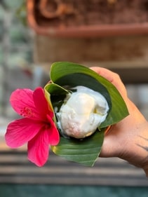 Whip up delicious tadgola ice cream (Reetu Uday Kugaji) Whip up delicious tadgola ice cream (Reetu Uday Kugaji)