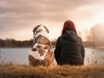 Strengthening your bond with your pet is not only enriching but also essential for their well-being.