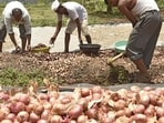 Farmers and traders are protesting APMC’s latest mandate of slicing the weighing and labour charges off farmers’ share and passing it on to the Mathadi (head loaders) Board (REPRESENTATIVE PHOTO)
