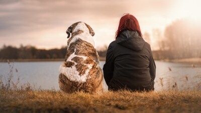 Strengthening your bond with your pet is not only enriching but also essential for their well-being. (Pixabay) Strengthening your bond with your pet is not only enriching but also essential for their well-being. (Pixabay)
