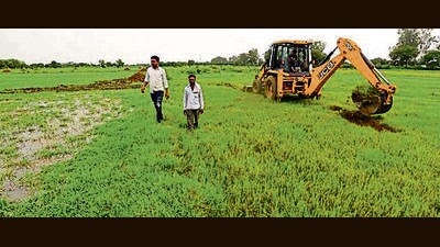 With the elections approaching, farmers are trying to haggle a better deal for themselves from the various political parties and are demanding a rate of ₹6,000 per square metre for their land. (Virendra Singh Gosain/HT Photo) With the elections approaching, farmers are trying to haggle a better deal for themselves from the various political parties and are demanding a rate of ₹6,000 per square metre for their land. (Virendra Singh Gosain/HT Photo)